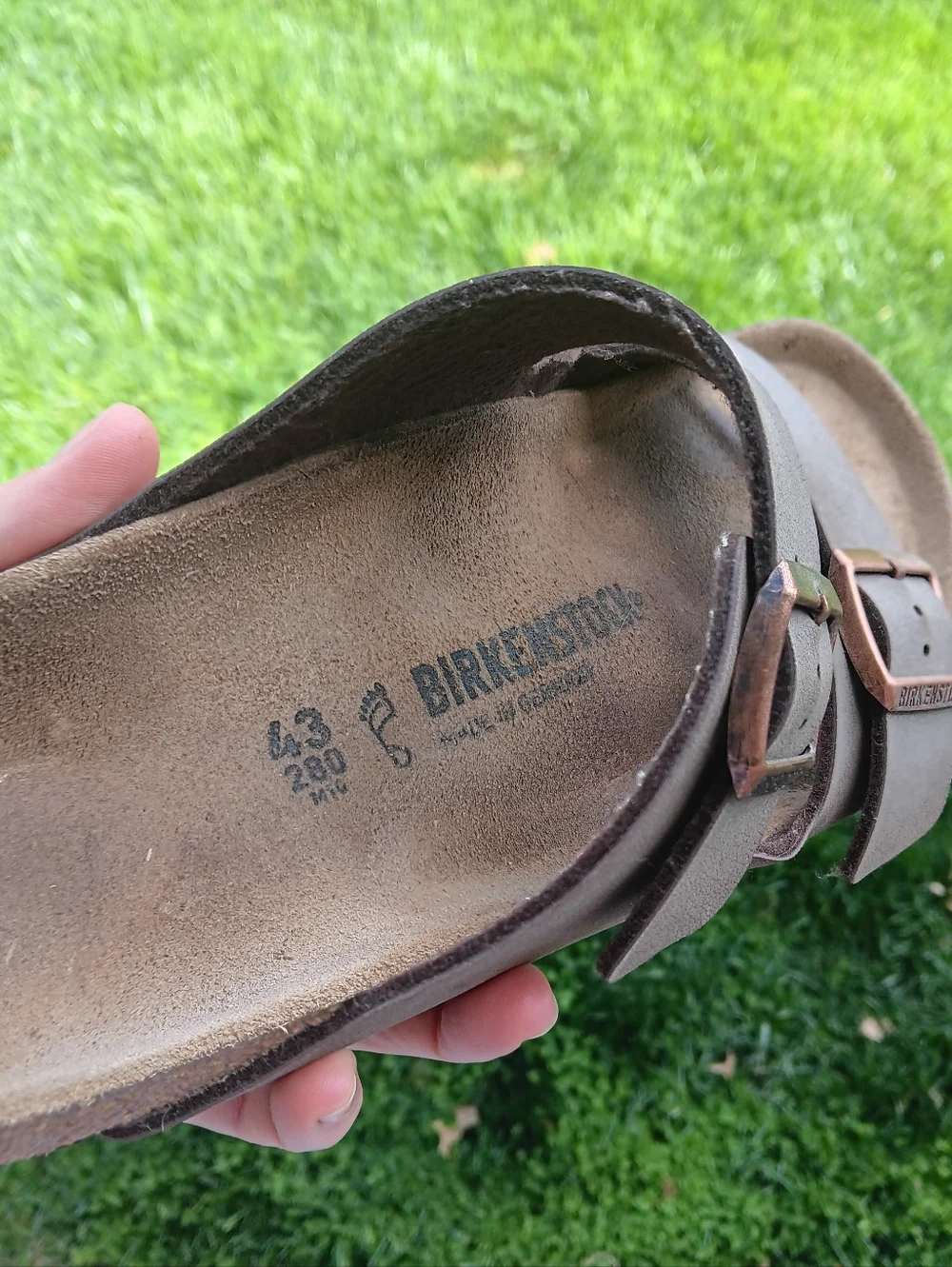 Birkenstock Arizona Two-Strap Sandals in Taupe